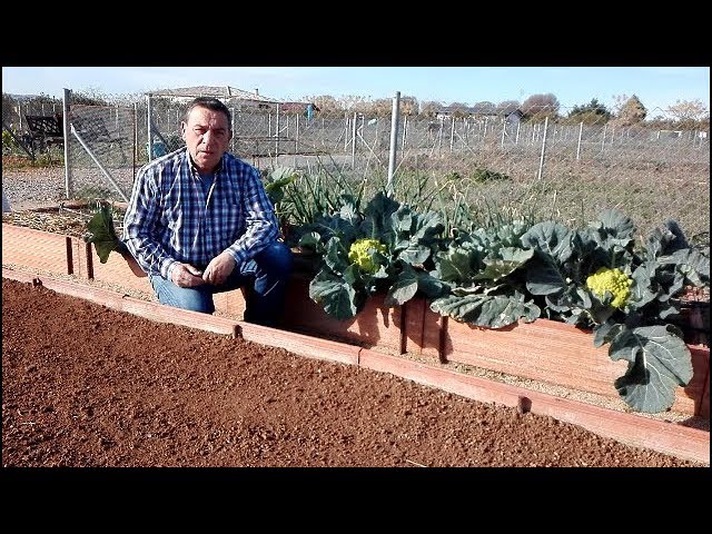 Como utilizar el extracto de suelo de tierra arcillosa como fertilizante para tus plantas de jardin