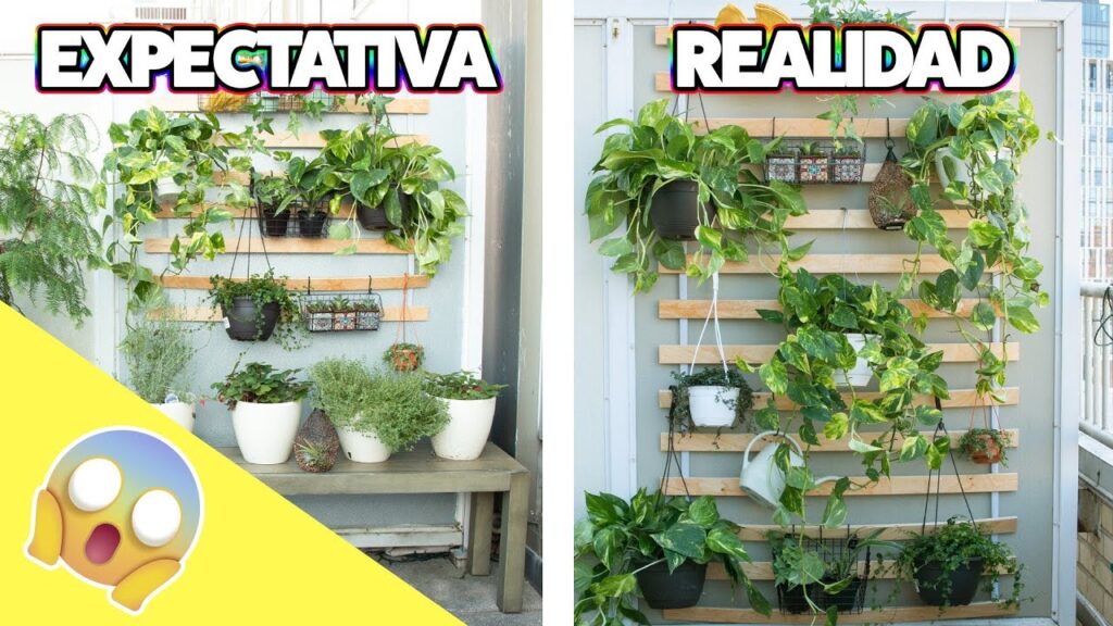 Como cultivar plantas en macetas para decorar la habitacion de los ninos