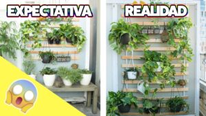 Como-cultivar-plantas-en-macetas-para-decorar-la-habitacion-de-los-ninos