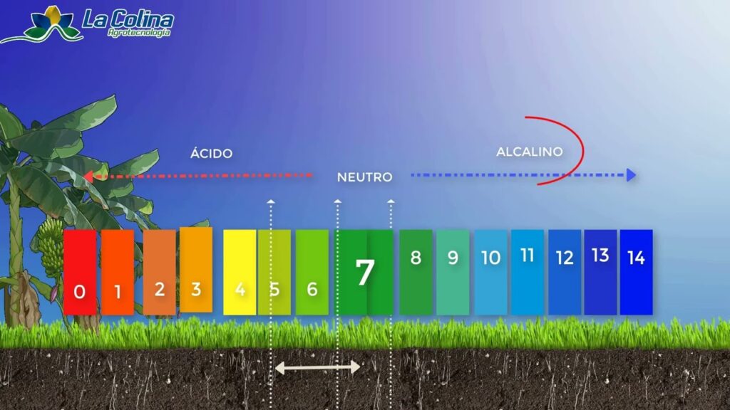 La importancia del pH en la tierra y como medirlo