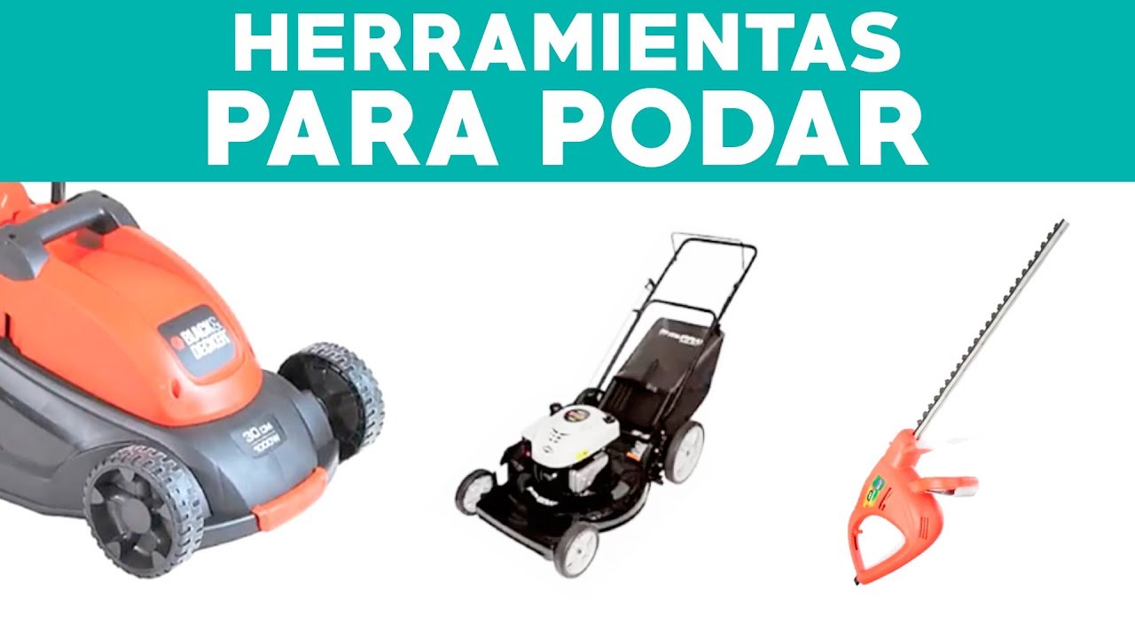 Las mejores herramientas para podar tus arbustos